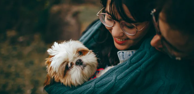 Padrone-cane, lo stress si trasmette